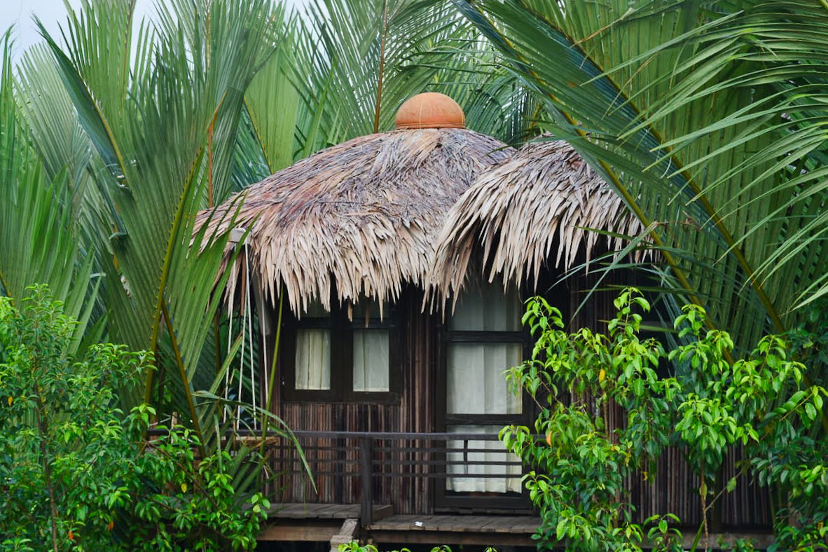 sundarbans-tour-package