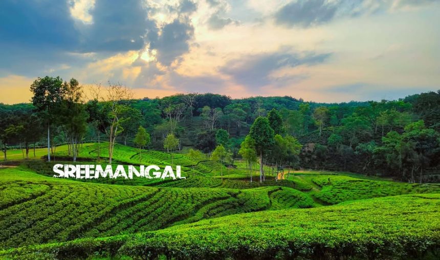Discover Srimangal – The Tea Capital of Bangladesh