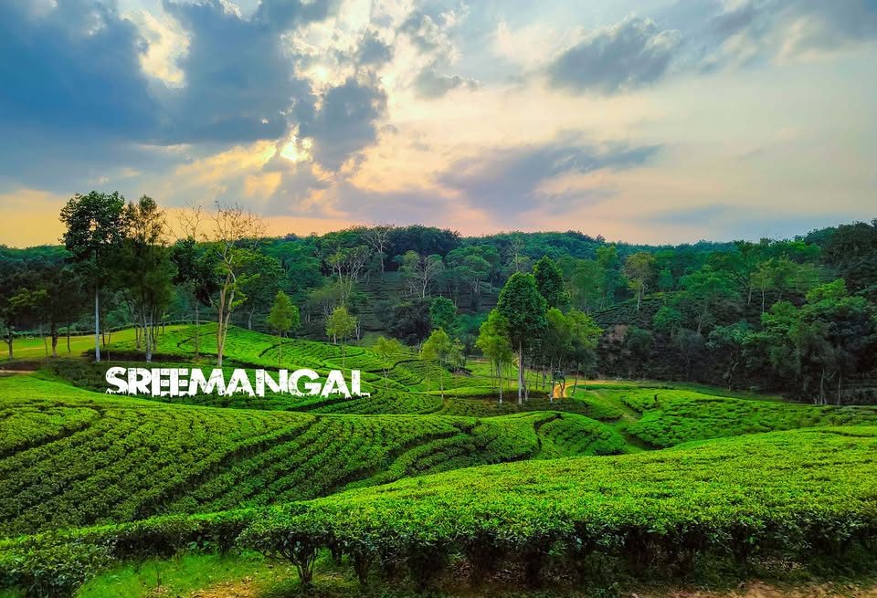 Discover Srimangal – The Tea Capital of Bangladesh