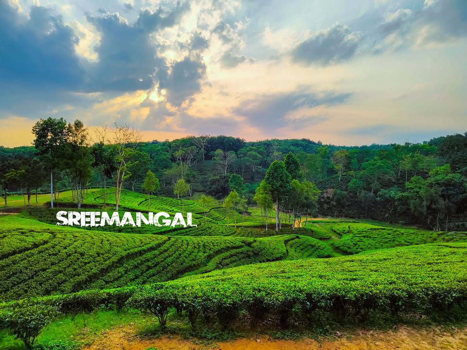 Discover Srimangal – The Tea Capital of Bangladesh